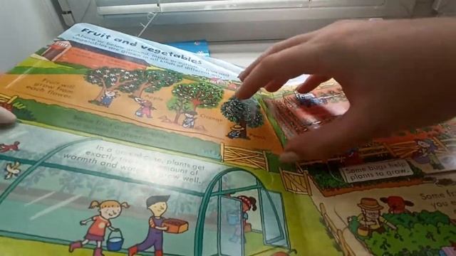 Usborne Look Inside, See Inside, Peep Inside, в чем разница. Обзор книг смотреть онлайн