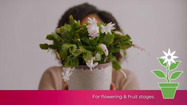 Best Indoor Grow Light Of 2022 | Top 10 Best Grow Lights For Indoor Plants
