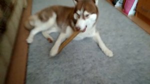 30 сантиметров счастья )