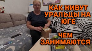 804ч Наша жизнь после переезда на юг/Устанавливаю поребрики/Наши любимые животные