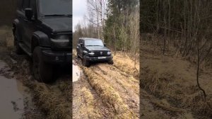 Tank 300. Бездорожье в лесу.