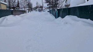 Снежный квест или как попасть на дачу