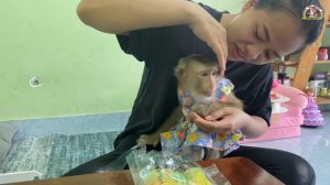 Monkey Lyly was hungry and ate raw shrimp chips because she couldn't wait for her mother to return