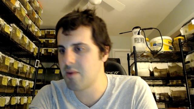 Roach Crossing Weekly General Livestream April 25th 2024 смотреть онлайн