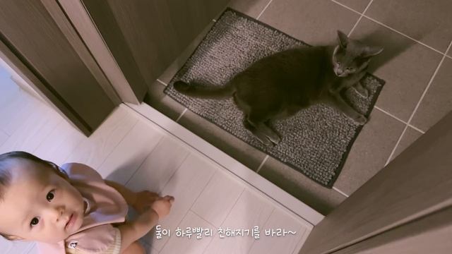 저 집 나왔습니다.. 엘라야 엄마 찾지마라..😤 | 롯데월드 | 런던 베이글 뮤지엄 | 자기주도이유식(BLW) | 혼혈아기 | 미군가족 | 국제커플 | 12개월 육아 브이로그