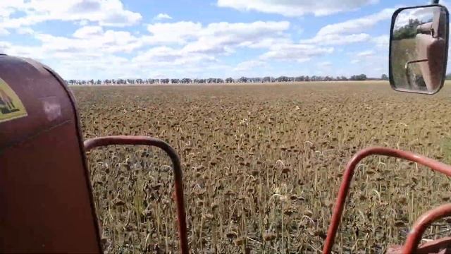 косим сою по 1 тоне з ГА. CASE 2166 смотреть онлайн