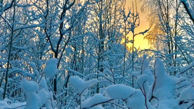 Октябрьская лыжня