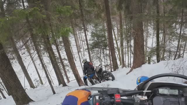 эНДУРО мЕДВЕДЬ ЛЕС ШАТАЛ