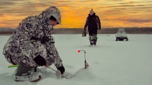 Рыбалка удивляет! Краснокнижник на комбайн! Нарвались на клёв 5 видов рыб, глухозимье отменяется!