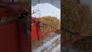 Продаётся пресс подборщик тюковый Welger AP 52| Очень надёжный пресс с большой камерой прессования!