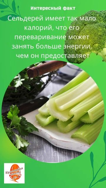 Факт про сельдерей #еда #рецепты #shorts смотреть онлайн