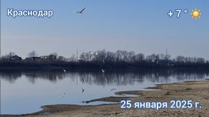 Краснодар - Набережная - река Кубань обмелела - 25 января 2025 г.