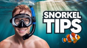 Египет Eg. Подводное плавания в Хургаде.