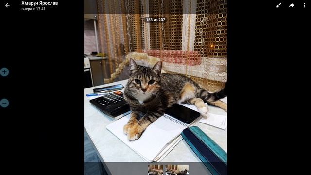 Песня "Я с кошкой Исой и мы с ней в далёких странах"