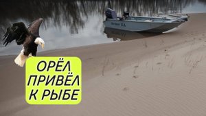 Народные приметы на рыбалке? Работают!