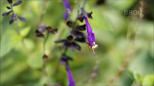 Test Pentax K30 - 50mm F1.4