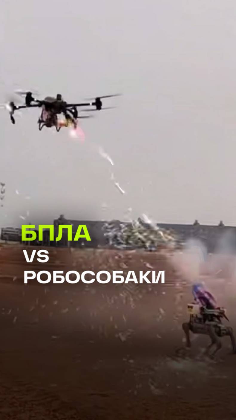 В сети завирусилось видео битвы дрона и робопса