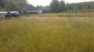 Косимо траву трактором Dongfeng 244 DHX з косаркою