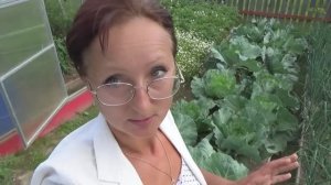 6 соток 13 июля 2020 года. Снова на дачу..