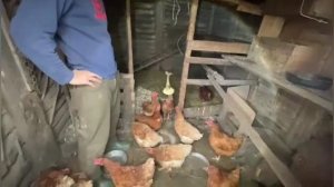 История странных людей, которые почти уехали, из города в деревенскую глуш, на свой Хутор Вишниковых