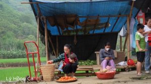 17 Year Old Single Mother - harvesting tomatoes to sell at the market - helping a baby who fell