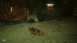 Прохождение Stray, Трущобы. Видео: 9.