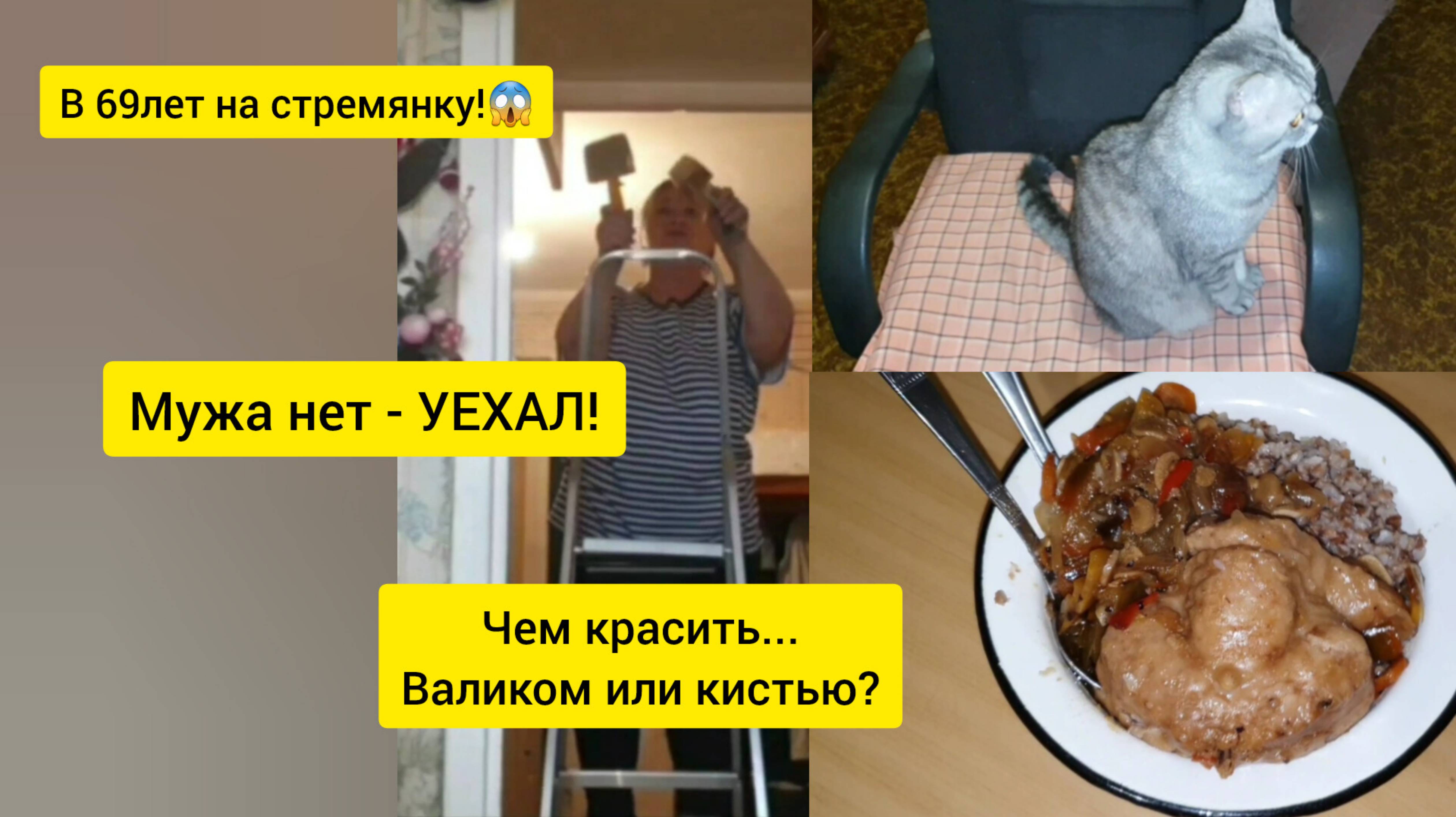 10.12.2024 А Я это ЛЮБЛЮ!😀😋Самый большой ГОРШОК коту!🤭Муж уехал!😜ОЧИСТКИ для СМОРОДИНЫ!🫐