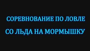 Соревнование по ловле на мормышку.