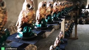 Копилка сова 🦉. Формы из силикона