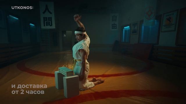 Утконос. И не отвлекайтесь от карате смотреть онлайн