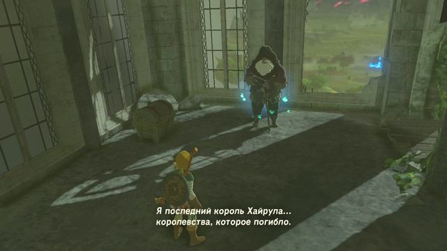 Зельду любите?Надо ли снимать зельду?
