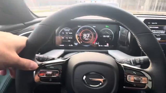 GAC GS8 антихром