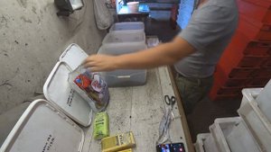 Составьте свой правильный корм для Дендробены. 1часть.