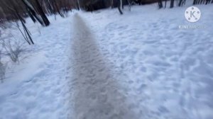 Graffiti day with BOBER, RESH, SABER | bober one pst crew |