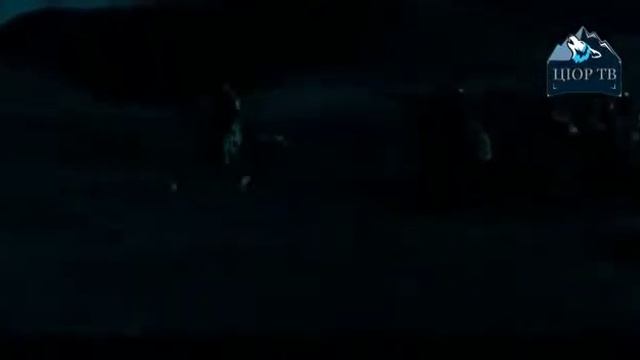 ПОБЕДА АВАРОВ над войсками Персии в Закавказье