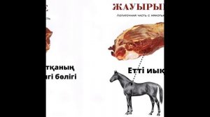 Части конины !