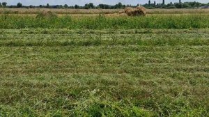 Косилка Заря на минитрактор Шифенг 240 доработки