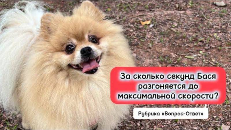 За сколько секунд Бася разгоняется до максимальной скорости?