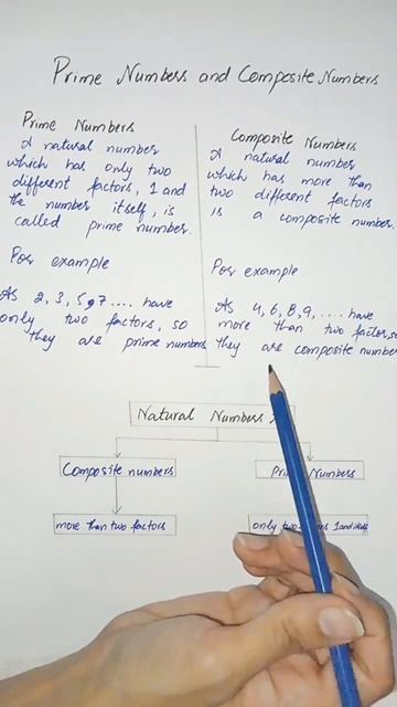 Prime & Composite Numbers #math #mathematics #mathstricks #mathshorts #primenumber #compositenumber