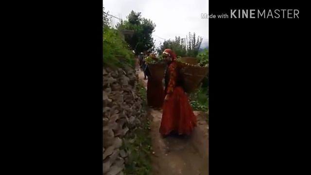 Asai Tewadha Khane Singer Mool Raj Misher(Bhaderwahi Hit Song) смотреть онлайн