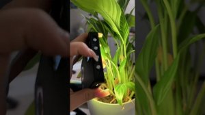 Видеосвет, светодиодная лампа RGB,#обзор валдберис MAMEN,свет для блогеров,фотографов#видеосвет