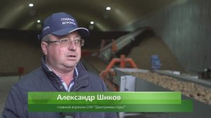 FORGLAD - системы Микроклимата овощехранилищ