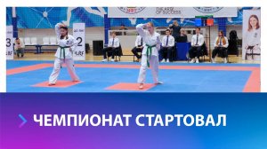 Первые в новом году чемпионат и первенство по тхэквондо проходят в Ставрополе