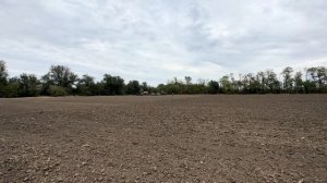 Сев озимой пшеницы. Урожай 2025.