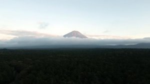 Провели 24 часа в ТОМ САМОМ ЛЕСУ в ЯПОНИИ! ВЫЗОВ от МАСЛЕННИКОВА