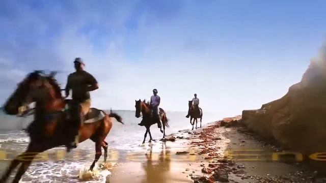 Seawater Journal en Isla Margarita - Venezuela, Abril del 2017 смотреть онлайн