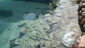 Zya Regina Resort & Aqua Park, Egypt 🇪🇬 Hurghada August 2022 5.8 - 19.8