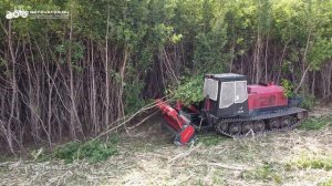 Чистим на СГМ про 330 сильно залесенный участок для строителей ТЛП 4М