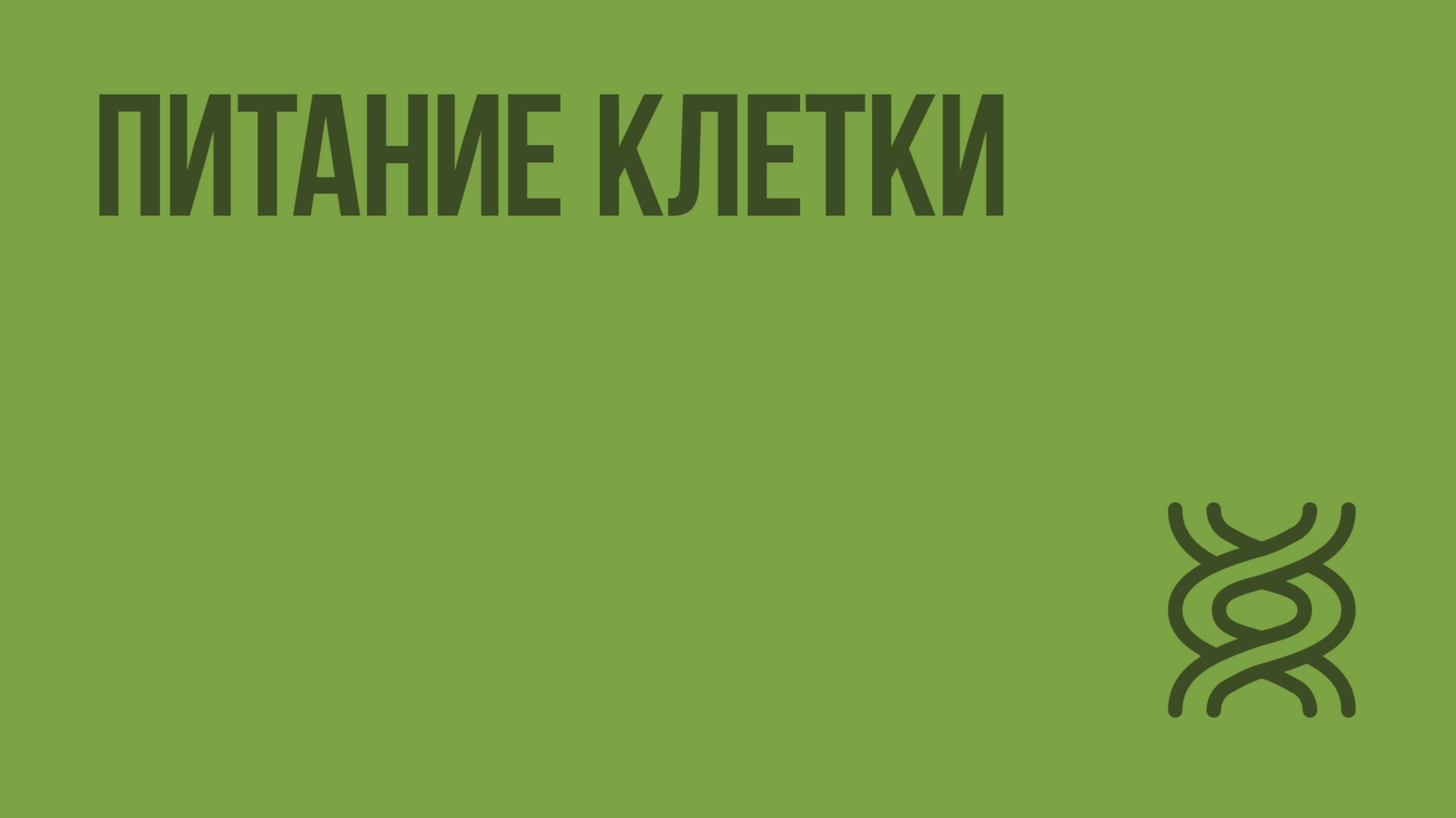 Питание клетки. Видеоурок по биологии 10 класс