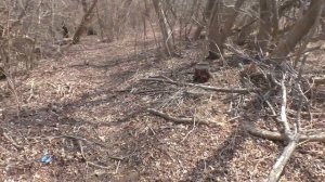 Р Партизанская в п Екатериновка